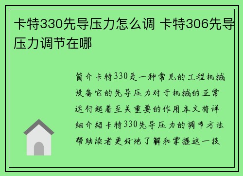 卡特330先导压力怎么调 卡特306先导压力调节在哪